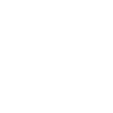 Partner logo 17